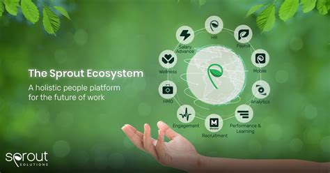 sprout hr ecosystem